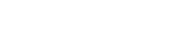 American Airlines