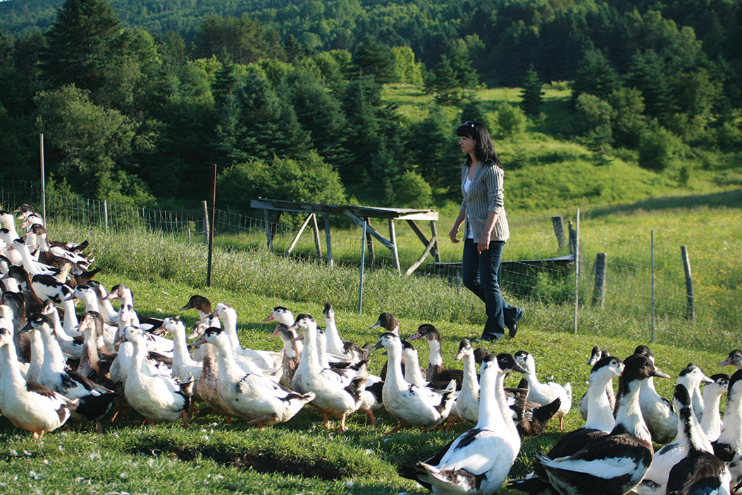 La Ferme Basque de Charlevoix